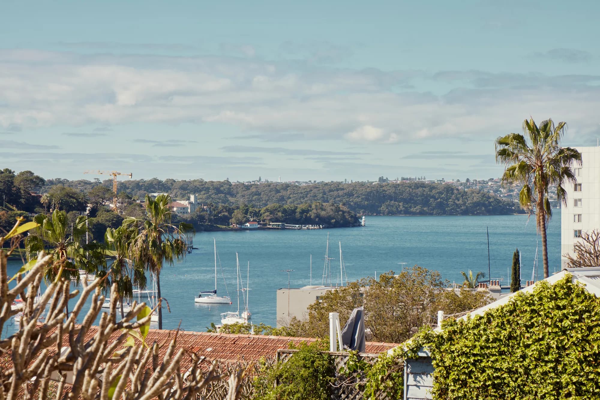Harbour outlook from the house.